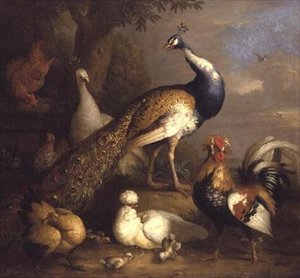Pavo real, pava real y aves de corral en un paisaje de Tobias Stranover