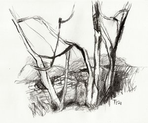 Boceto de un bosque desnudo de Tore Bahnson