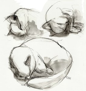 Estudios sobre gatos durmientes de Tore Bahnson