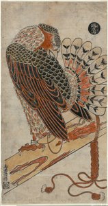 Gavilán (Konori taka) de Torii Kiyomasu I