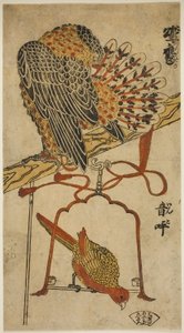 Gavilán y guacamayo (Konori taka, inko) de Torii Kiyomasu I