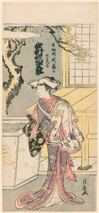 Nakamura Tomijuro I como una Zorra Femenina en la Escena de la Obra, Chigo Torii Tobiiri Gitsune de Torii Kiyonaga