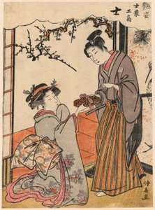 El Samurai (Shi) de la serie Bellezas Ilustrando las Cuatro Clases Sociales (Adesugata shi no ko sho) de Torii Kiyonaga