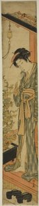 Mujer admirando glorias de la mañana mientras se cepilla los dientes de Torii Kiyonaga