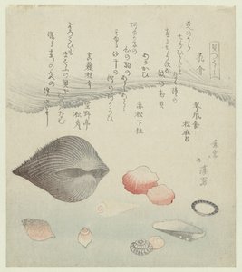Concha de flor, concha roja y concha roja pura. Hanagai akagai masuogai (título sobre objeto) Una serie de conchas (título de la serie) Kaatsukushi (título de la serie sobre el objeto) de Totoya Hokkei