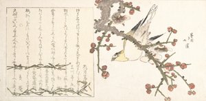 Ruiseñor en una rama de ciruelo Ume ni uguisu, principios del siglo XIX de Totoya Hokkei
