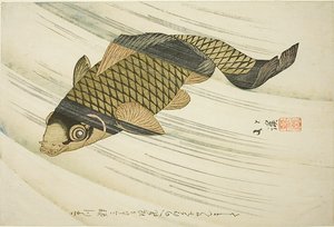 Carpa nadando río arriba de Totoya Hokkei