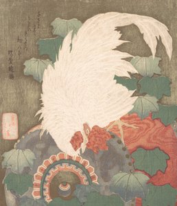 Gallo en Tambor, ca. 1825 de Totoya Hokkei