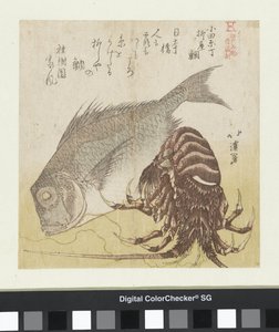 La lubina de Yanagiya en Odawara Chô Odawara Chô Yanagiya tai (título sobre el objeto) Productos famosos de Edo (título de la serie) Edo meibutsu (título de la serie sobre el objeto) de Totoya Hokkei