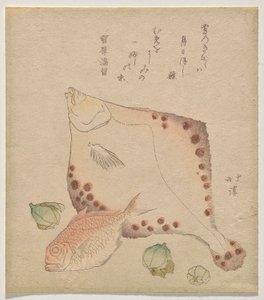 Platija, besugo con fukujus? brotes de Totoya Hokkei