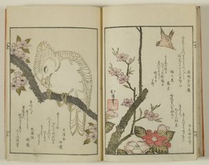Kyoka hyakucho Kocho de Totoya Hokkei