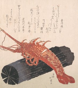 Langosta sobre un trozo de carbón de Totoya Hokkei