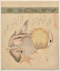 Par de patos mandarines de Totoya Hokkei