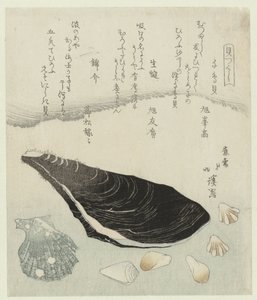 Conchas de chorlito, mejillón crudo y concha brocada Chidorigai namakaki nishikigai (título sobre objeto) Una serie de conchas (título de la serie) Kaatsukushi (título de la serie sobre el objeto) de Totoya Hokkei