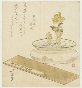 Planta en maceta y almanaque de Totoya Hokkei