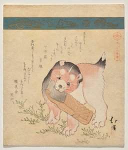 Cachorro con rodaja de salmón seco de Totoya Hokkei