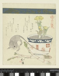 Rata y ven con Adonis Una serie de treinta y seis pájaros (título de la serie) Sanjûrokutoritsukushi (título de la serie sobre el objeto)