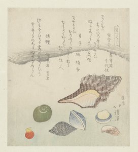 Concha de reflexión, concha de marfil y concha de tritón Utsusegai baishi hora (título sobre objeto) Una serie de conchas (título de la serie) Kaatsukushi (título de la serie sobre el objeto) de Totoya Hokkei