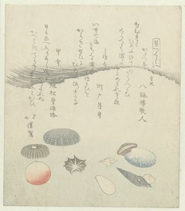 Concha redonda roja y azul con conchas más pequeñas. Una serie de conchas (título de la serie) Kaatsukushi (título de la serie sobre el objeto) de Totoya Hokkei