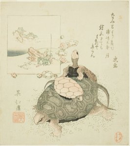 Tortugas marinas y Urashima Taro de Totoya Hokkei