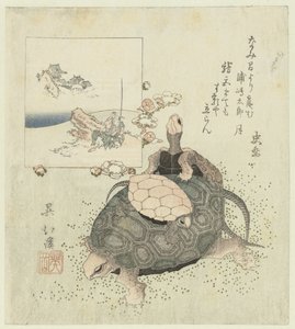 tortugas