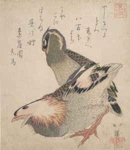 Dos pájaros de Totoya Hokkei