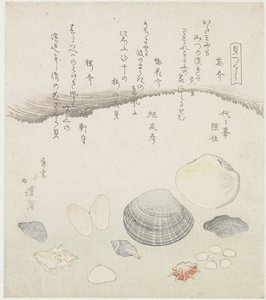 Concha olvidada, concha de flor de ciruelo y concha de cereza Wasuregai, umenohanagai, sakuragai (título sobre el objeto) Una serie de conchas (título de la serie) Kaatsukushi (título de la serie sobre el objeto) de Totoya Hokkei