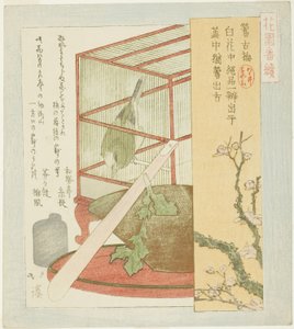 Ruiseñor en una jaula, de la serie "Una serie para el grupo Hanazono (Hanazono bantsuzuki)" de Totoya Hokkei