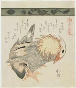 Pato mandarín y pato, c. 1830