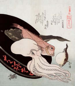Pulpo y Peces del Océano