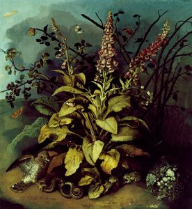 Naturaleza muerta de Trajan Hughes