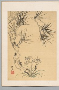 Pino y hongo, siglo XIX de Tsubaki Chinzan