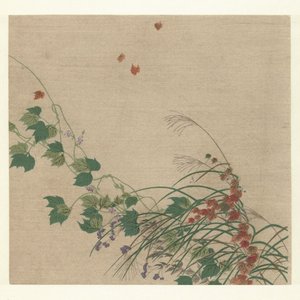 Otoño de Tsukioka Kogyo