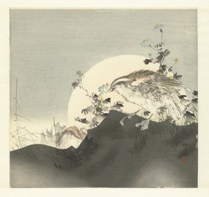 codornices de Tsukioka Kogyo
