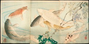 Carpa con glicinas de Tsukioka Yoshitoshi