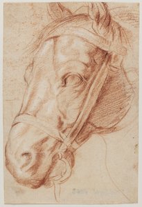 Cabeza de caballo de Ubekendt