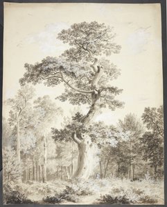 Paisaje con gran árbol y cazador de Ubekendt