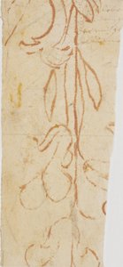 Ornamento vegetal (fragmento)