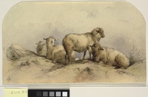 Ovejas en un paisaje de Ubekendt KKSgb7508 KKSgb7512