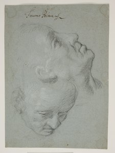 Dos estudios de rostros masculinos