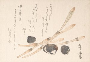 Planta Tsukushi y conchas Shijimi de Uematsu Toshu
