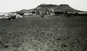 Vista de la zona arqueológica de Naqa, con dromedarios y ganado, Sudán, fotografía de Ugo Monneret de Villard. de Ugo Monneret de Villard