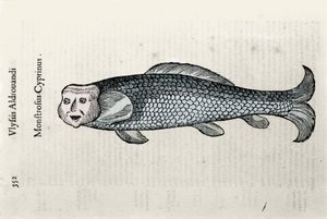 Representación de peces, placa de Nicolas ilustrada con un manuscrito de Historia Natural por Ulisse Aldrovandi (1522-1605), fondo Ulisse Aldrovandi, Biblioteca Universitaria de Bolonia, ed. 1603