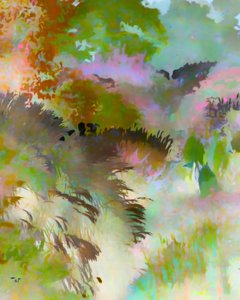 Paisaje forestal colorido de Uma Gokhale