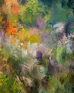 Abstracto de un jardín lleno de vida de Uma Gokhale