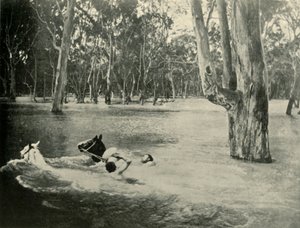 Un banquero, 1901