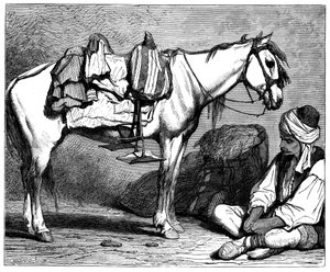 Un campesino bosnio