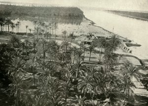Una posición británica en el río Tigris, 1919 de Unbekannt