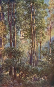 Un valle en Nueva Gales del Sur, 1923 de Unbekannt