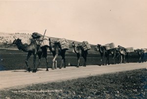 Un tren de camellos rumbo a Damasco, 1936 de Unbekannt